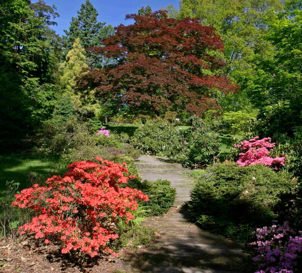 Arboretum Nový Dvůr in Stěbořice