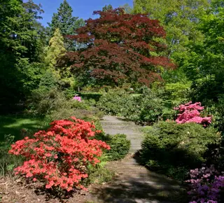 Arboretum Nový Dvůr in Stěbořice