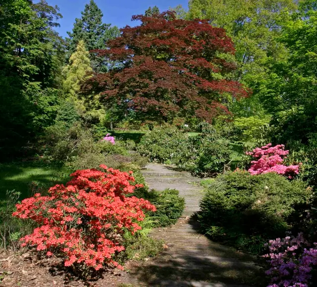 Arboretum Nový Dvůr in Stěbořice