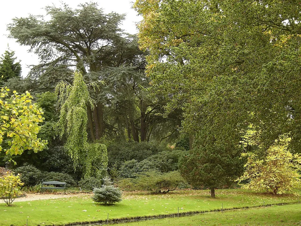 Trompenburg Tuinen & Arboretum in Rotterdam