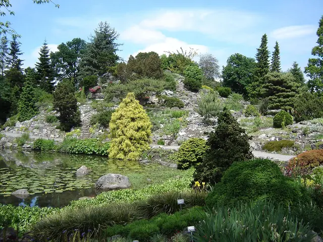 Botanische Tuinen Universiteit Utrecht