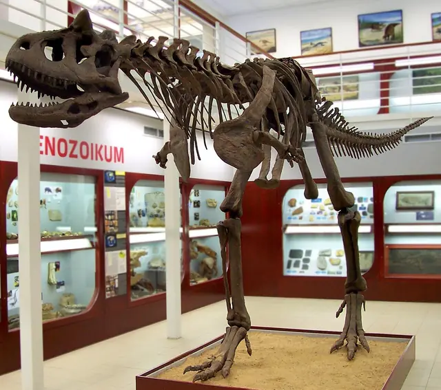 Chlupáčovo muzeum historie Země in Praha