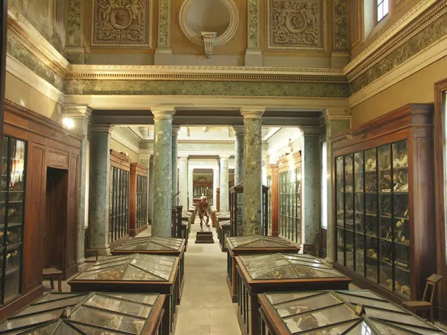 Conservatoire d'anatomie in Montpellier