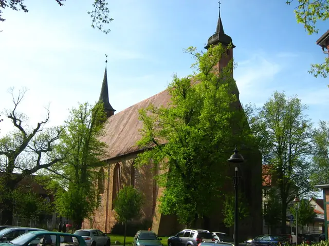 Deutsches Bernsteinmuseum in Ribnitz-Damgarten