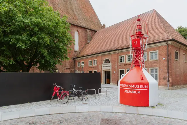 Meeresmuseum Stralsund