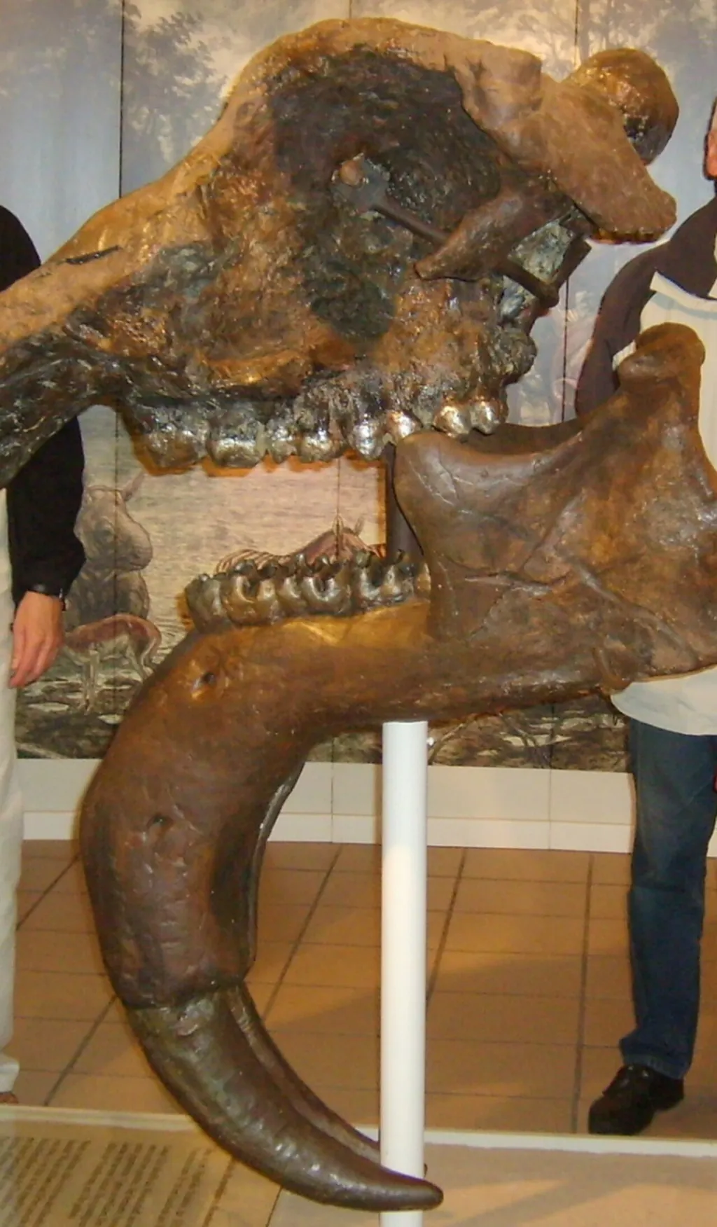 Dinotherium-Museum in Eppelsheim