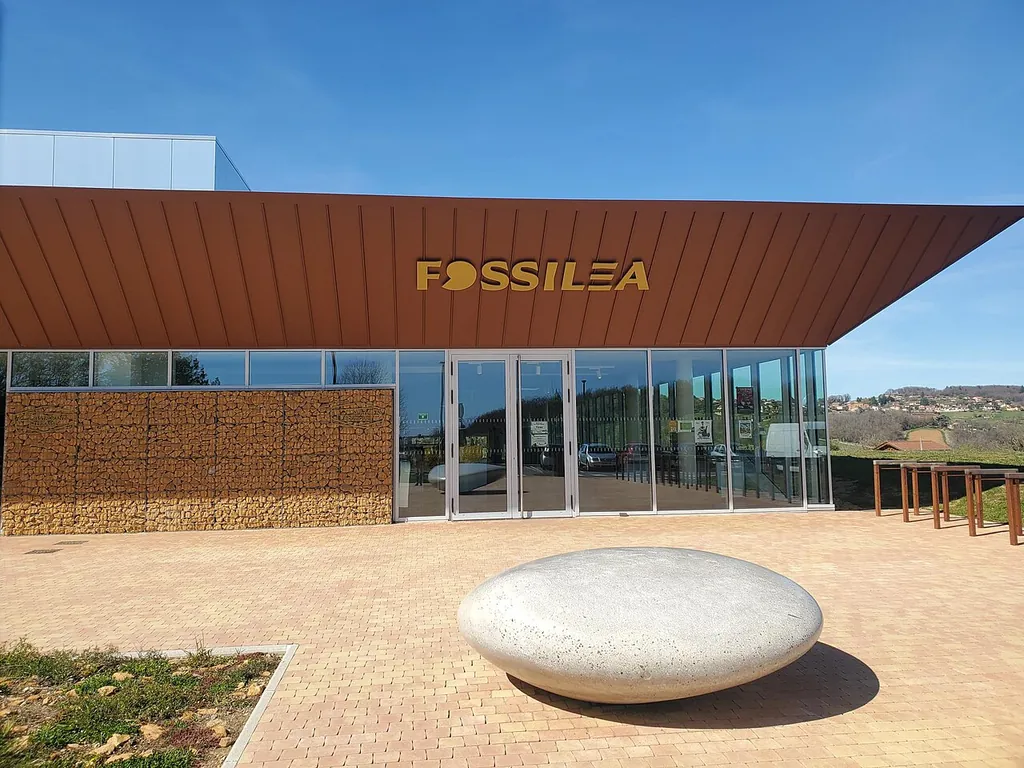 Fossilea in Saint-Jean-des-Vignes