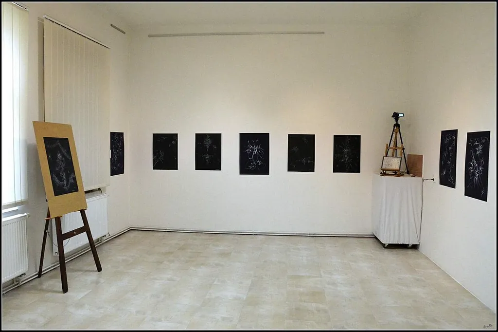 Galerie Emila Juliše in Černčice