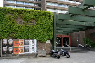 Museum der Natur Hamburg – Geologie-Paläontologie