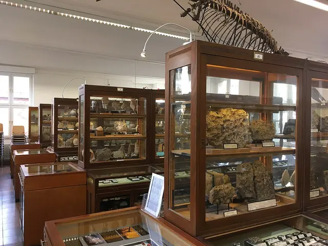 Goldfuß-Museum in Bonn