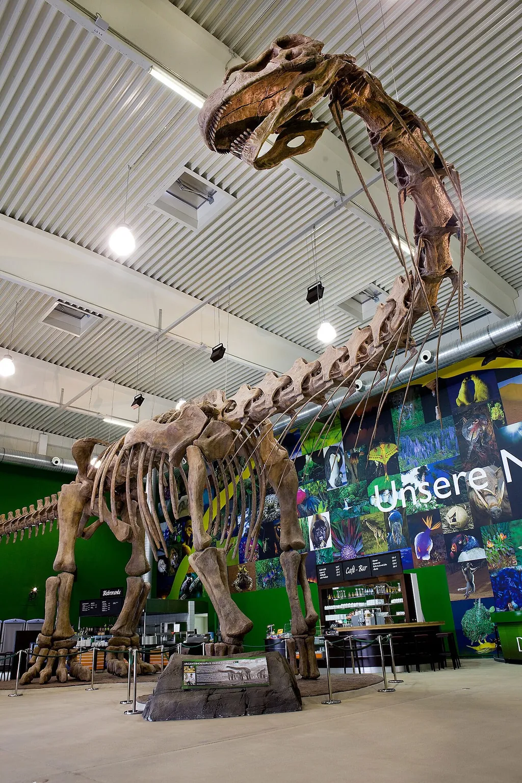 Gondwana – Das Praehistorium in Schiffweiler