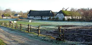 Frilandsmuseet Hjerl Hede in Vinderup
