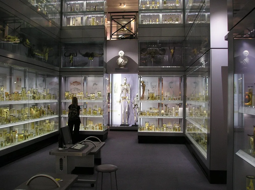 Hunterian Museum in London