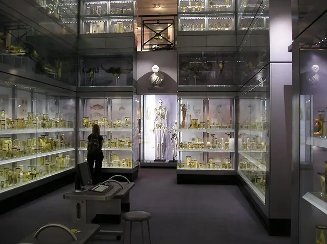 Hunterian Museum in Londen