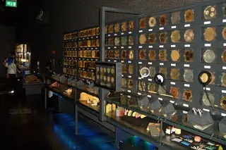 ARTIS-Micropia in Amsterdam