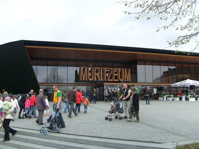 Müritzeum in Waren