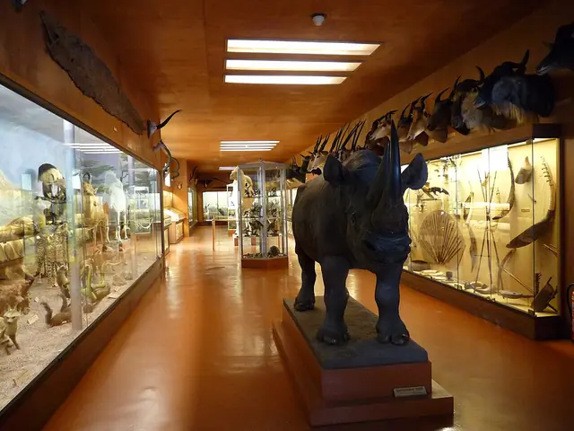 Musée africain de l'île d'Aix in Île-d'Aix