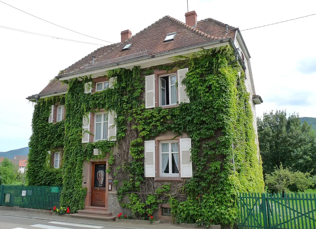 Maison Albert Schweitzer in Gunsbach