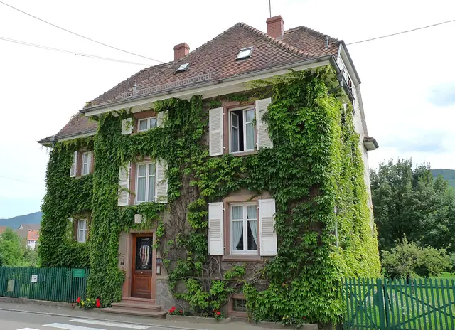 Maison Albert Schweitzer in Gunsbach