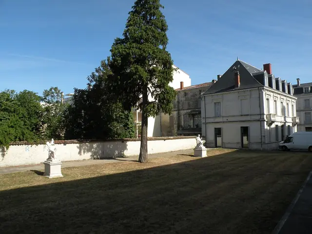 Musée Bernard-d'Agesci in Niort