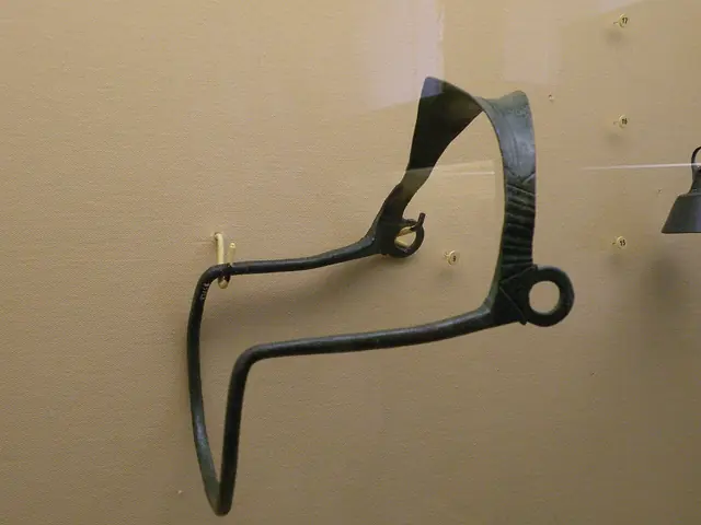 Musée d'archéologie tricastine in Saint-Paul-Trois-Châteaux