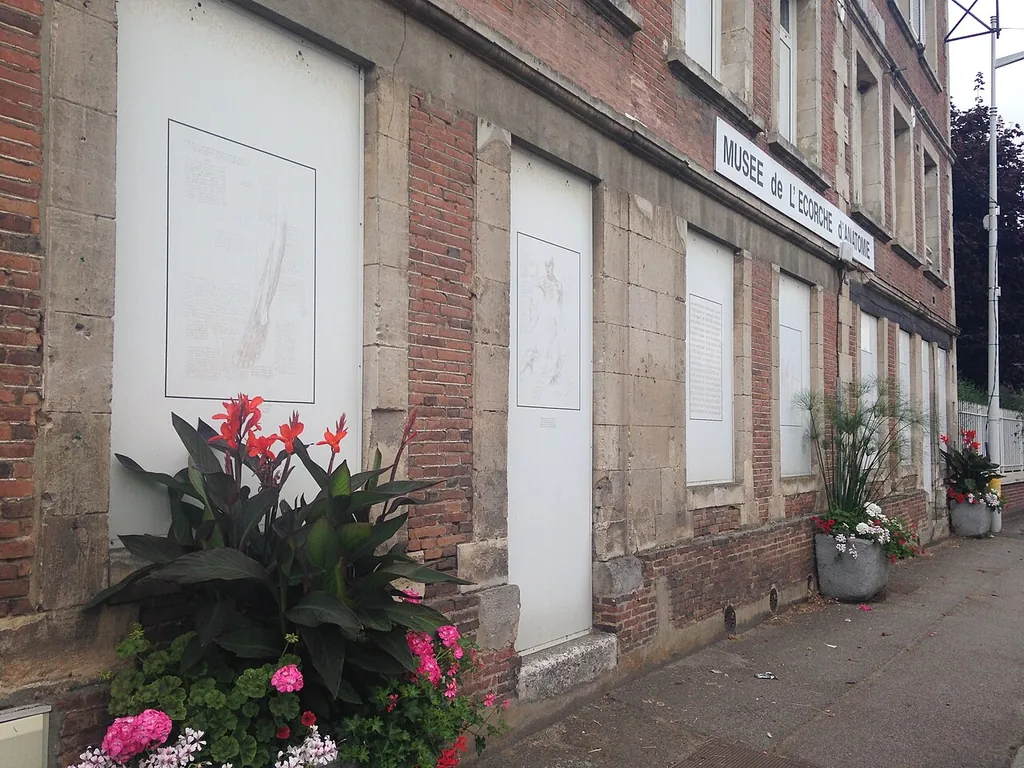 Musée de l'écorché d'anatomie in Le Neubourg