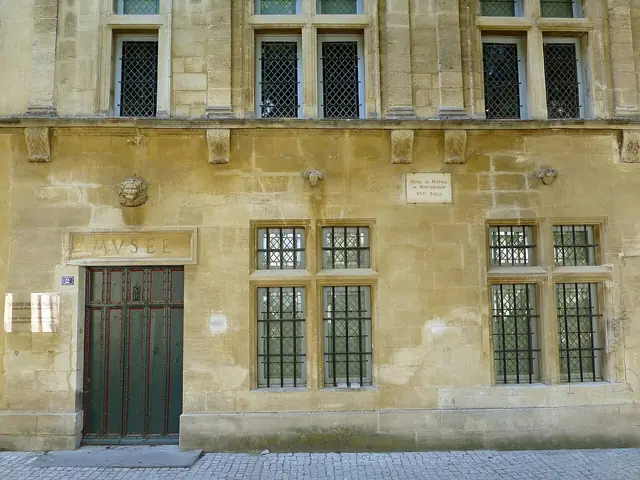 Musée des Alpilles in Saint-Rémy-de-Provence