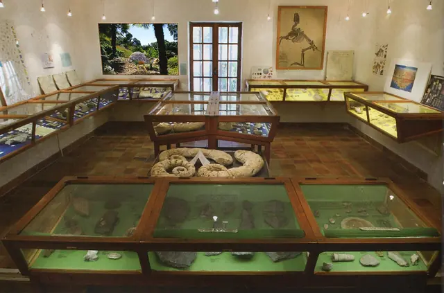 Musée des fossiles Victor Zaneboni in Tourtour
