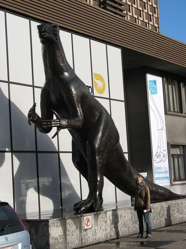 Muséum des Sciences naturelles in Brüssel
