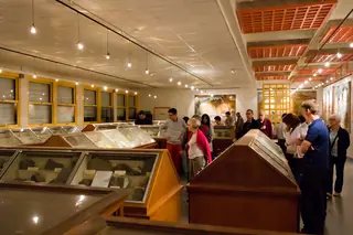 Musée géologique de Rennes