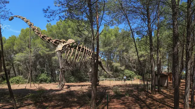 Musée Parc des dinosaures et de la préhistoire in Mèze