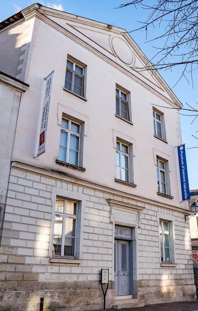 Muséum d’histoire naturelle de Tours