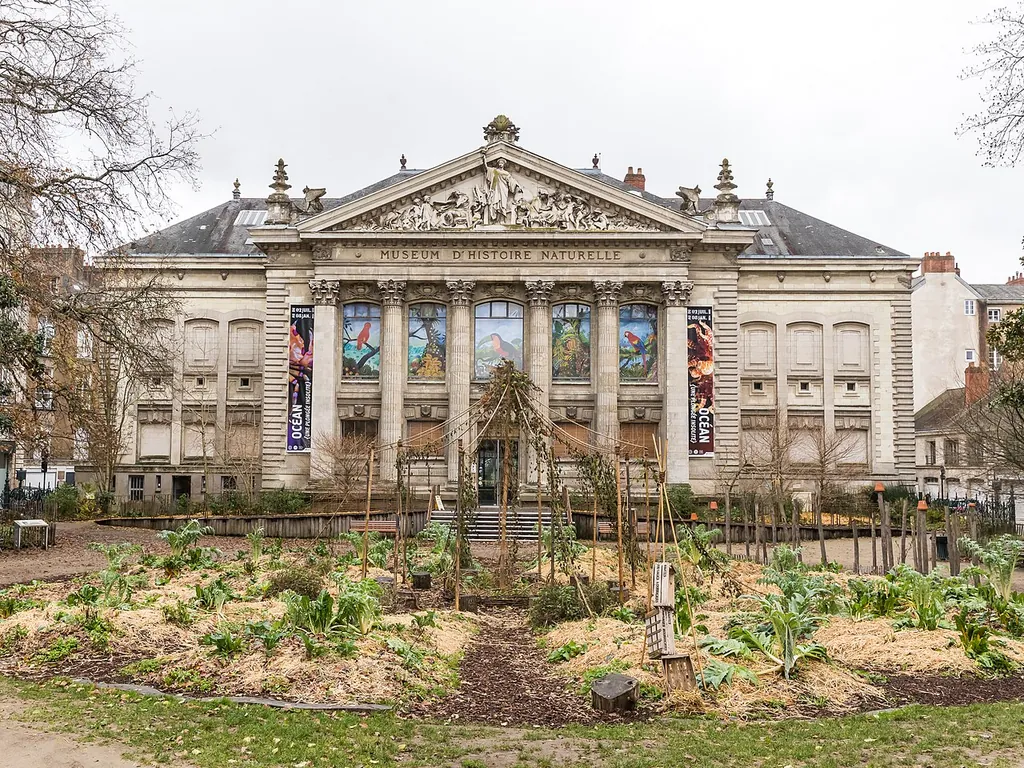 Muséum de Nantes