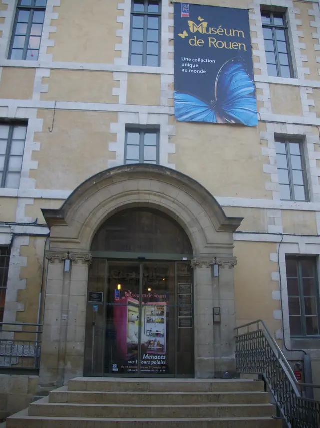 Muséum de Rouen