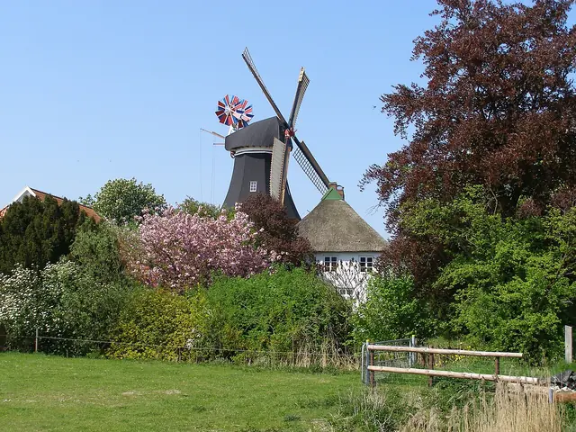 Museum Moorseer Mühle in Nordenham