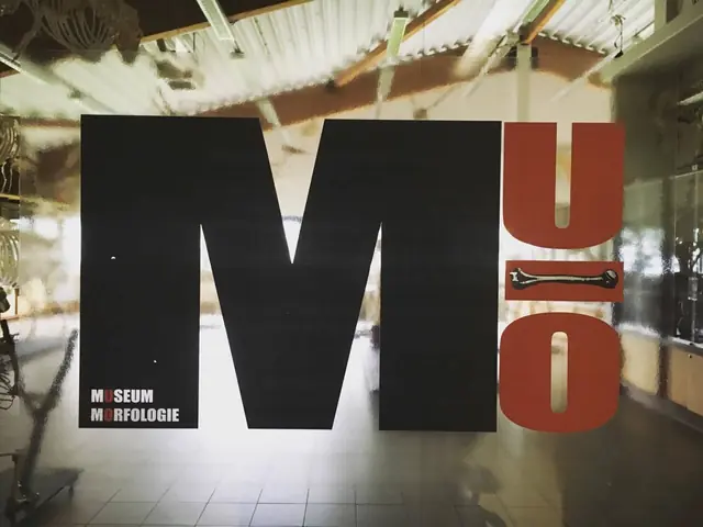 Museum Morfologie in Merelbeke