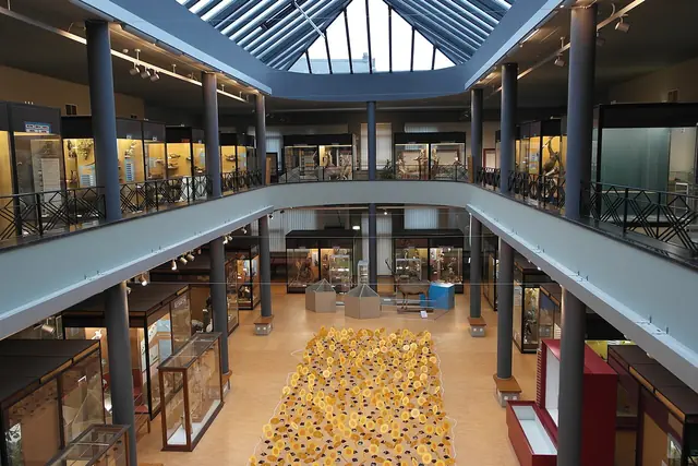 Muséum régional des Sciences naturelles in Bergen