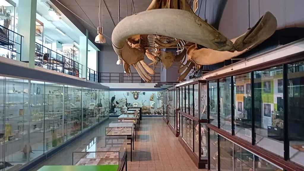 Museum voor Dierkunde in Leuven