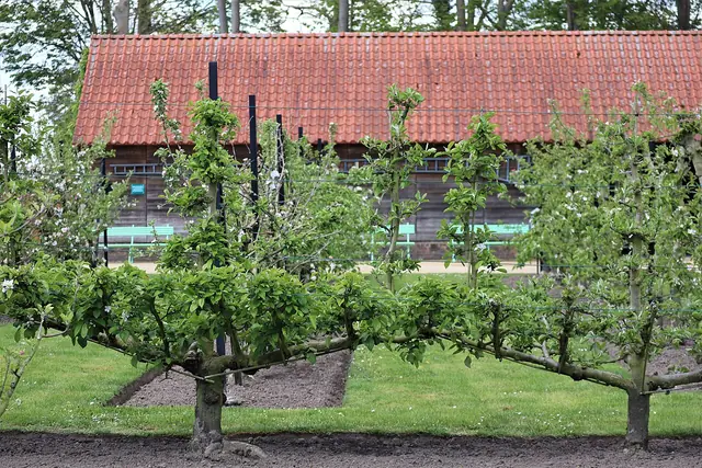 Museumtuin Gaasbeek in Lennik