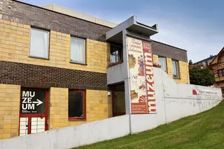 Muzeum luhačovického Zálesí in Luhačovice