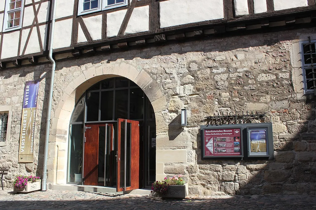 Naturhistorisches Museum Schloss Bertholdsburg in Schleusingen