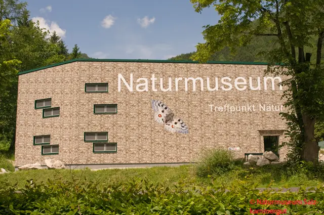 Naturmuseum Salzkammergut in Ebensee am Traunsee