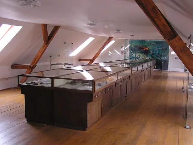 Památník Joachima Barranda Skryje