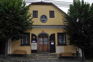 Památník Karla Havlíčka Borovského in Havlíčkova Borová