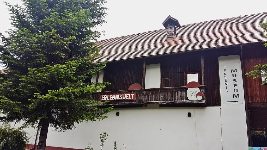 Pilzmuseum Treffen in Treffen am Ossiacher See