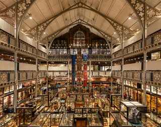 Pitt Rivers Museum in Oxford