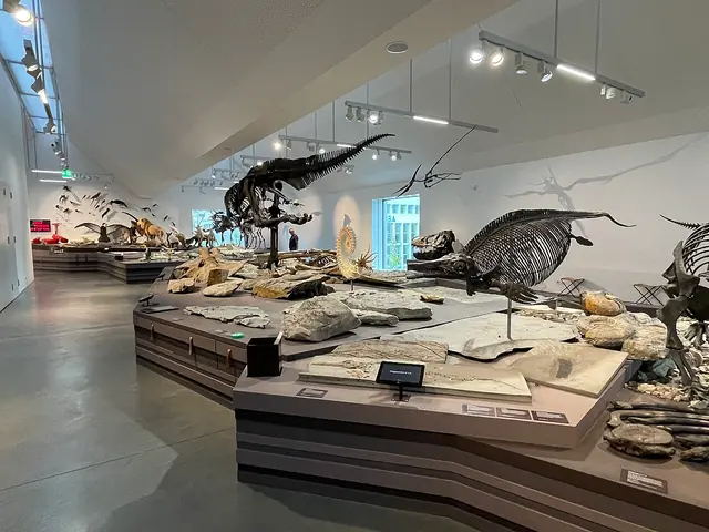 Naturmuseum St. Gallen