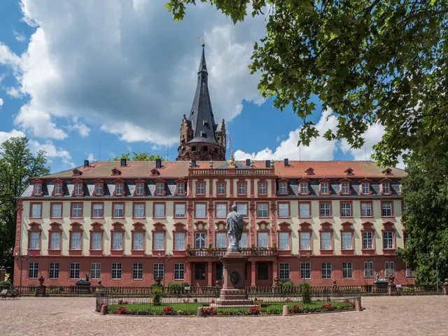Schloss Erbach