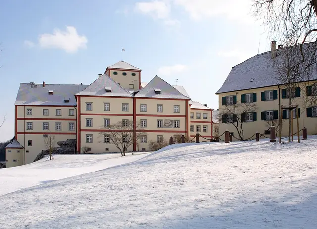Fasnachtsmuseum Schloss Langenstein in Orsingen-Nenzingen