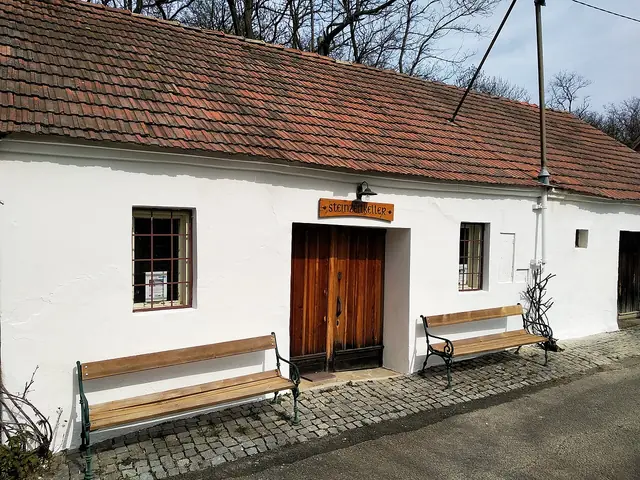 Museum Steinzeit- & Keltenkeller in Platt